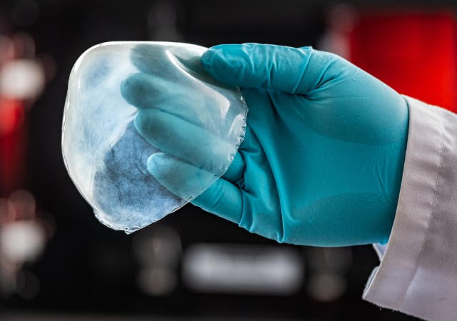 新研发的仿生组织替代物