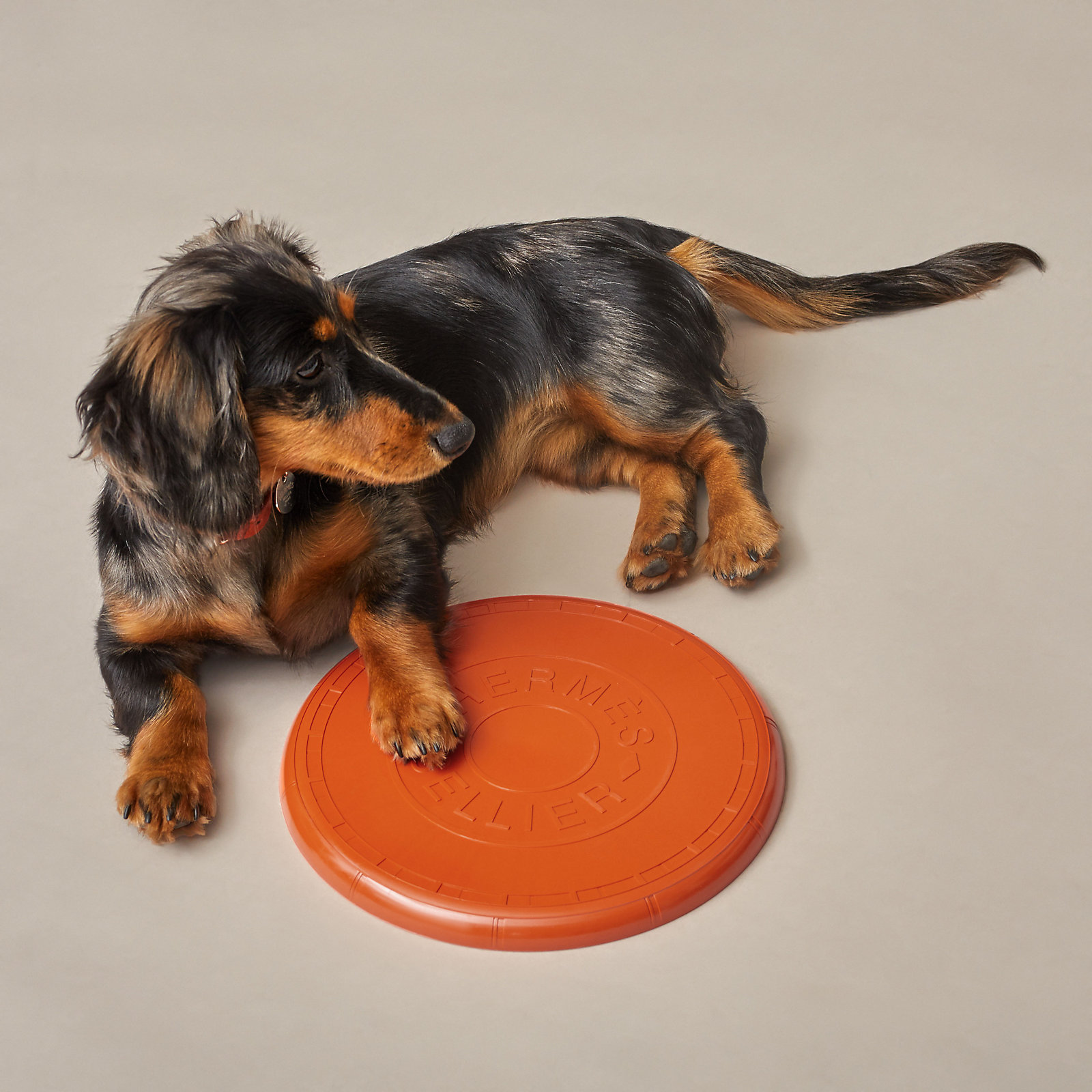 爱马仕Wouf系列。图片由爱马仕提供