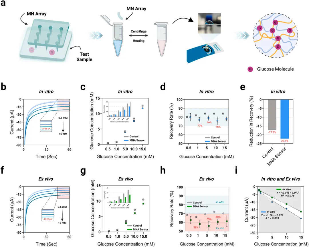 基于MN的电化学葡萄糖生物传感器的体外及离体验证
