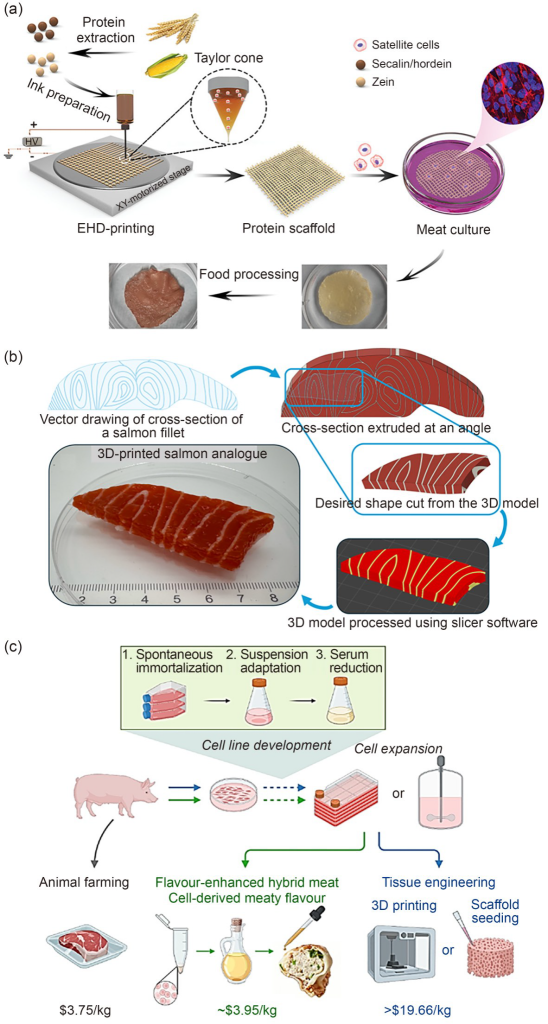 综述中涵盖的食品生物制造方法包括培育肉支架、3D打印的鲑鱼替代品以及细胞衍生的芳香化合物