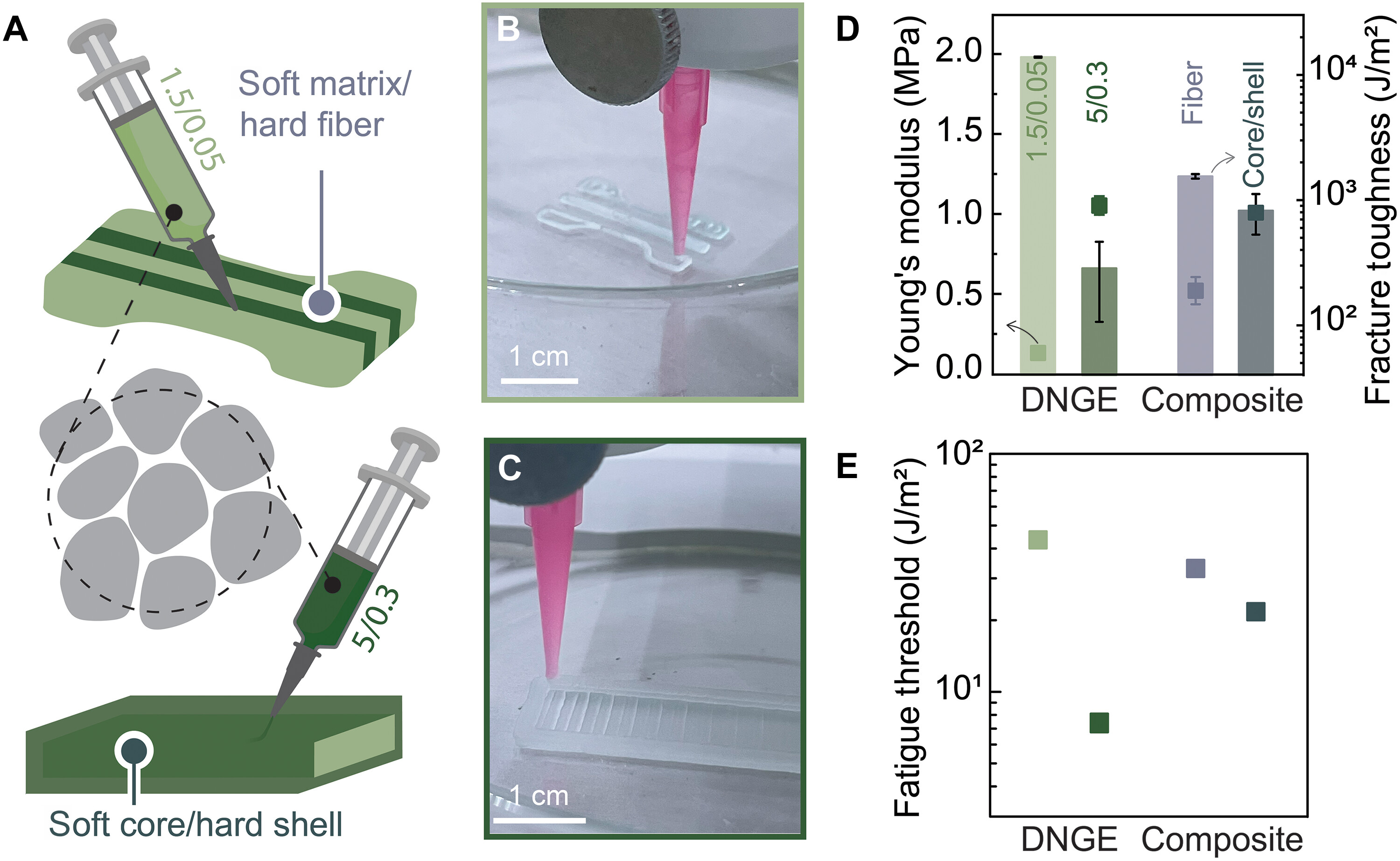 DNGE 的多材料 3D 打印