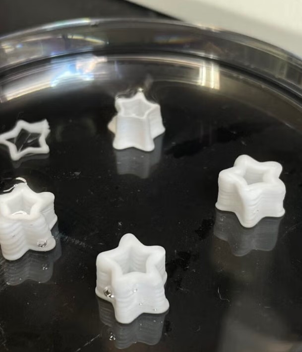 这种3D打印组织模拟了人体组织的分类和过滤能力，允许某些分子通过，同时阻止其他分子进入