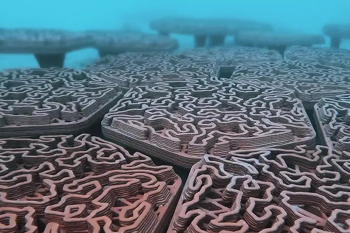 利用3D打印技术修复和重建珊瑚礁及沿海生态系统